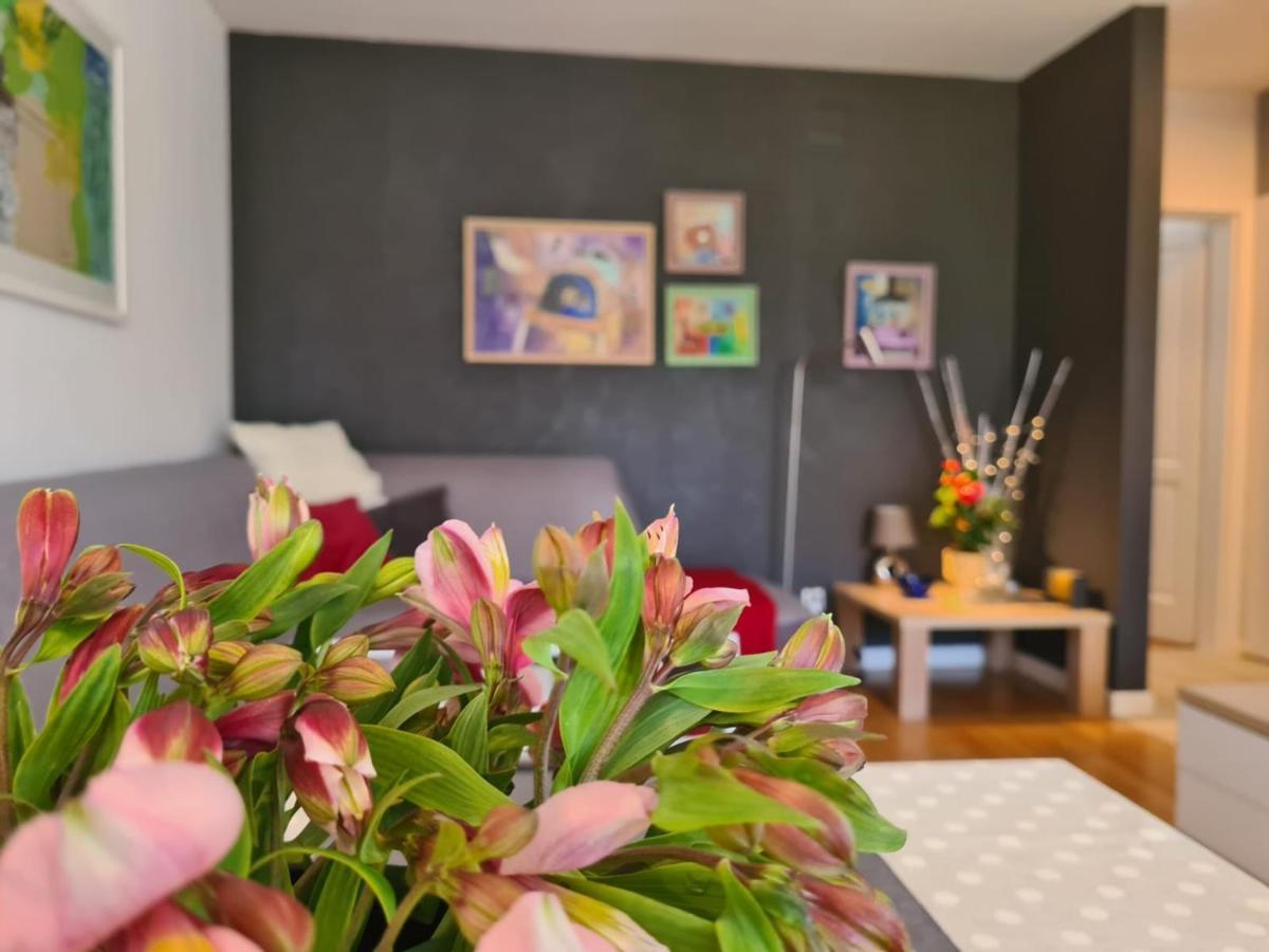Apartment Vedrana Rovinj Zewnętrze zdjęcie